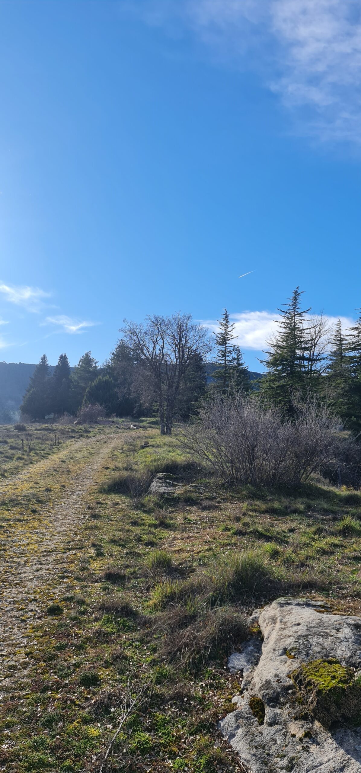 Venta de Finca en Uña, Cuenca